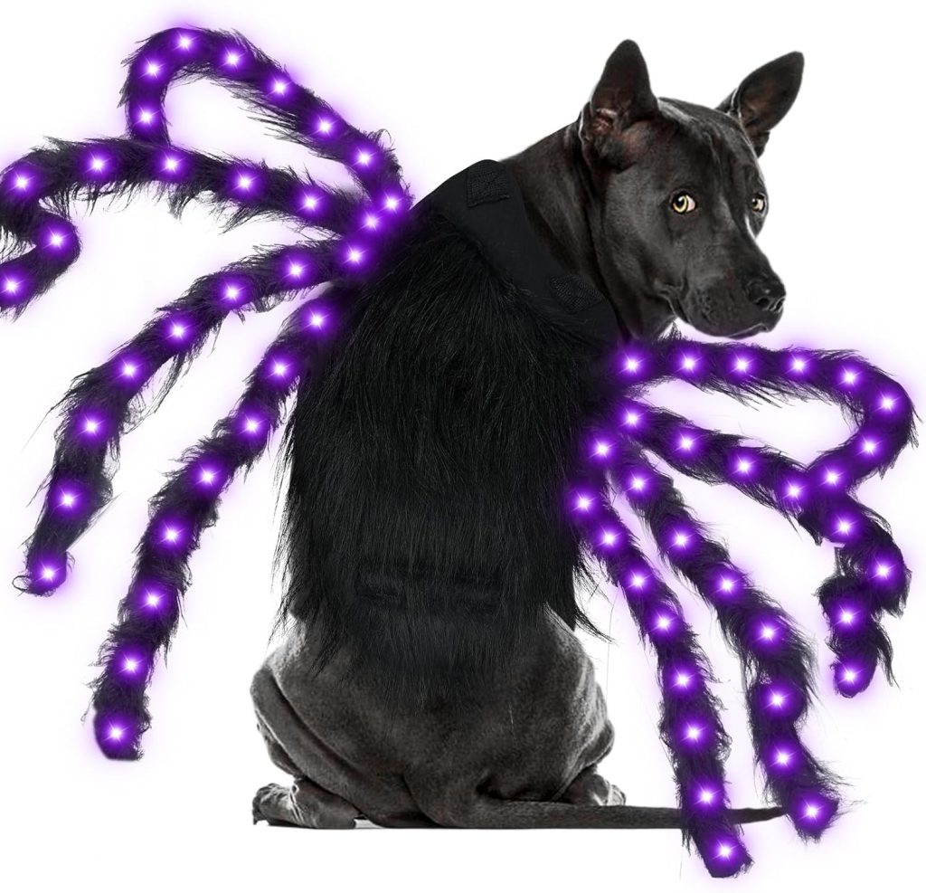 Spooky Dog Accessories